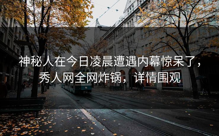 神秘人在今日凌晨遭遇内幕惊呆了，秀人网全网炸锅，详情围观